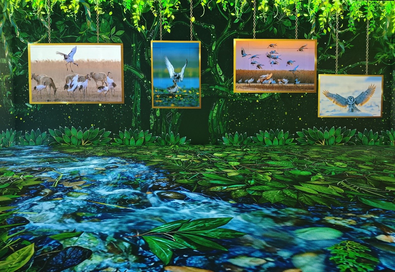 上海鸟类摄影展8.jpg