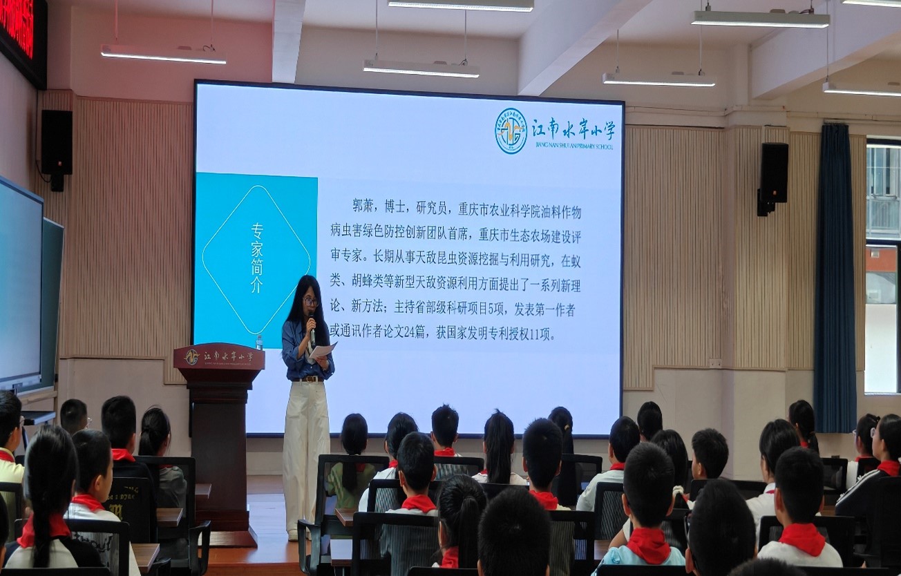 重庆江岸小学活动2.jpg 重庆江岸小学活动2.jpg